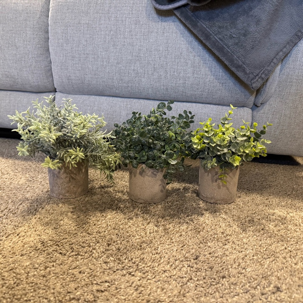 3 faux plants